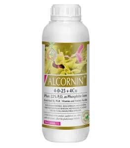 Alcornin