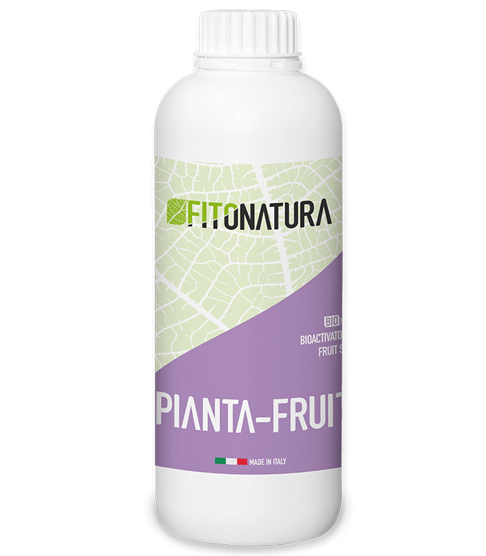 Fitonatura Pianta-Fruit -1L