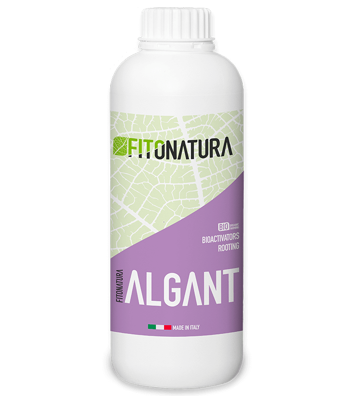 Fitonatura algant