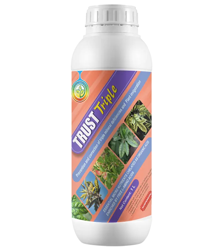 Trust- tripel